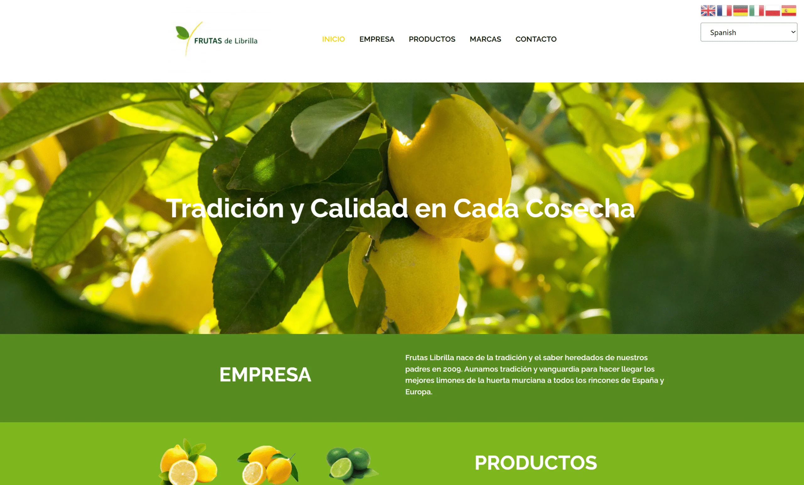 Inicio screenshot 53 scaled e1768212869285